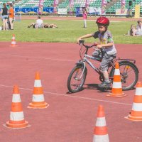 MG_8197 MG_8197